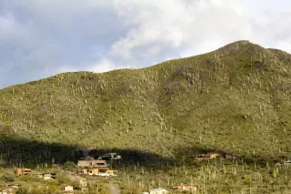 Photo #4: 5895387 Listing 