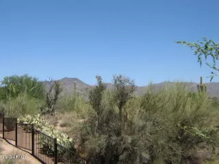 Photo #4: 5980183 Listing 