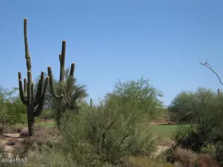 Photo #5: 5980183 Listing 