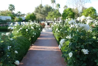 Photo #5: 5989520 Listing