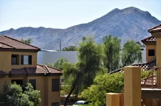 Photo #1: 6012893 Listing