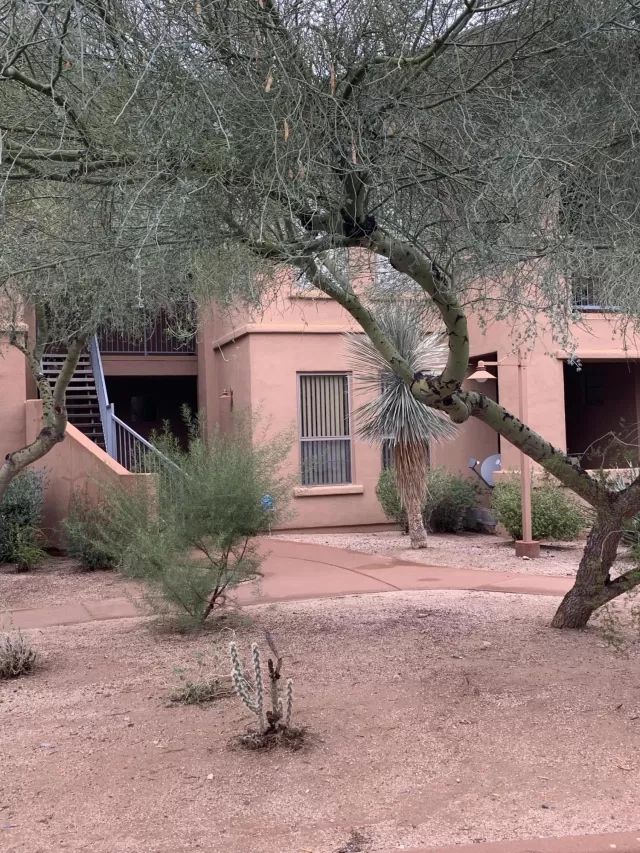 MLS: 6013063 Condo For Sale