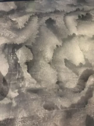 Photo #4: 6014769 Listing