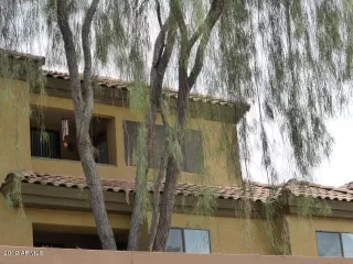 Photo #1: 6016066 Listing