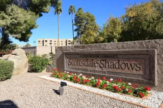 Photo #5: 6016648 Listing