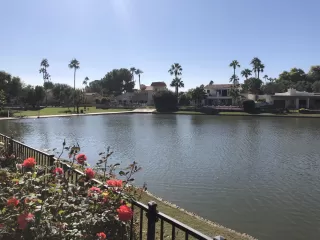 Photo #1: 6019204 Listing 