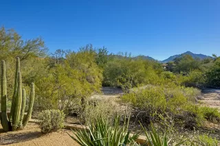 Photo #5: 6024350 Listing 