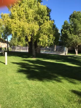 Photo #5: 6025113 Listing