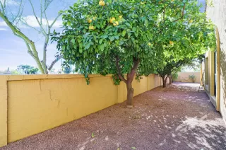 Photo #6: 6033039 Listing 