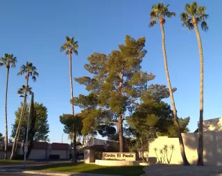 Photo #3: 6035152 Listing