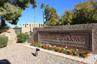 Photo #2: 6036448 Listing 
