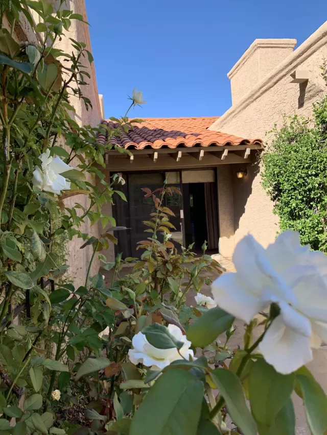 MLS: 6041236 Condo For Sale