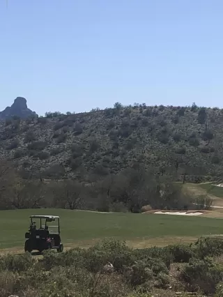 Photo #1: 6041618 Listing