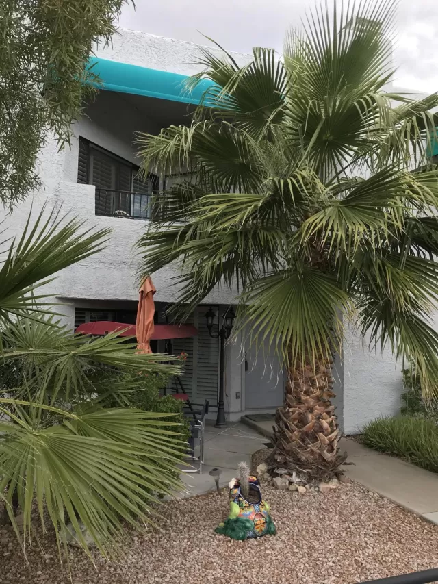 MLS: 6047939 Condo For Sale