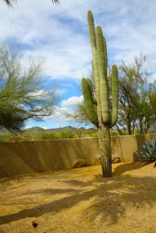 Photo #4: 6051710 Listing