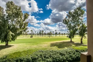 Photo #1: 6053591 Listing