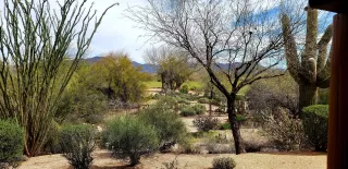 Photo #3: 6055773 Listing 