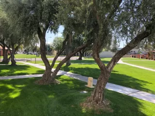 Photo #2: 6057930 Listing