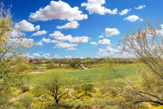 MLS: 6059789 Condo For Sale