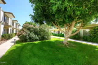 Photo #3: 6062811 Listing
