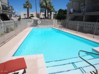 Photo #1: 6065298 Listing 