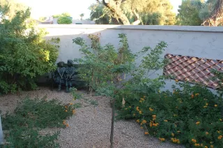 Photo #2: 6065337 Listing 