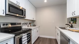 Photo #1: 6070912 Listing