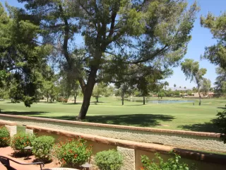 Photo #1: 6074045 Listing 