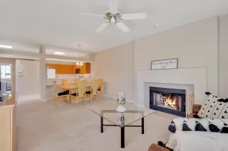 Photo #5: 6086475 Listing 