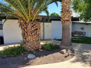 Photo #4: 6089207 Listing