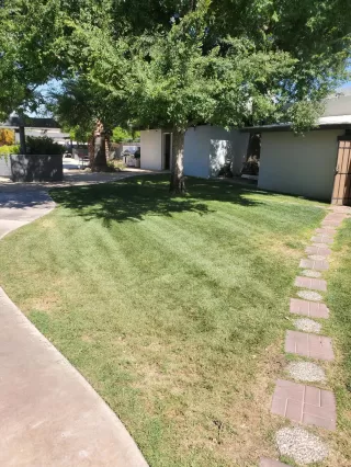 Photo #5: 6089207 Listing