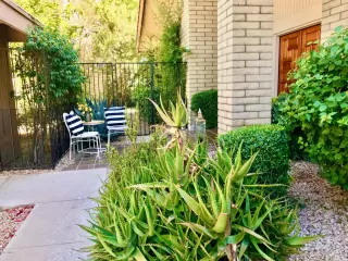 Photo #4: 6090476 Listing 