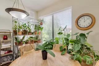 Photo #5: 6092365 Listing