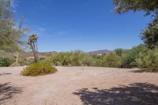 Photo #5: 6105195 Listing