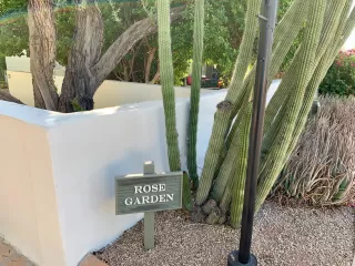 Photo #6: 6106627 Listing