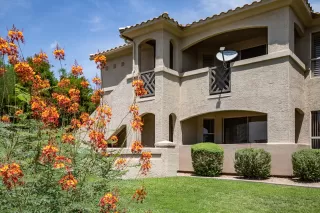 Photo #1: 6112648 Listing