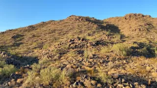 Photo #2: 6115651 Listing