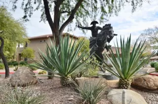 Photo #1: 6122831 Listing