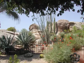 Photo #5: 6132455 Listing
