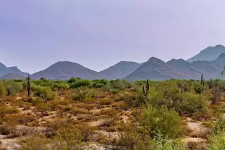 Photo #3: 6133172 Listing