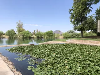 Photo #3: 6137194 Listing