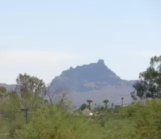 Photo #2: 6143167 Listing 