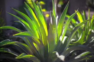 Photo #2: 6145330 Listing 