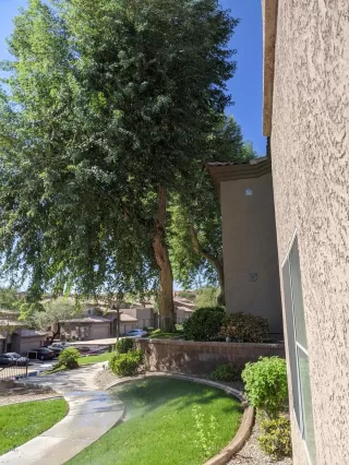 Photo #1: 6145626 Listing 