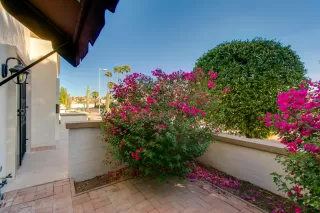 Photo #3: 6148537 Listing