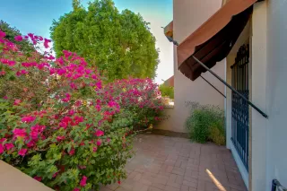 Photo #4: 6148537 Listing