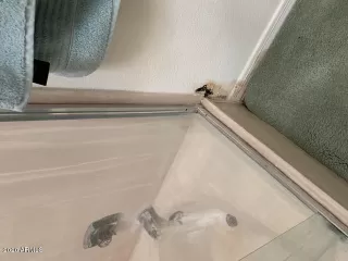 Photo #5: 6150405 Listing