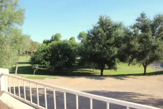 Photo #6: 6153142 Listing