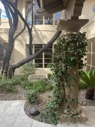 Photo #5: 6154869 Listing 