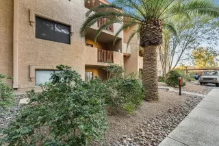 Photo #5: 6169873 Listing